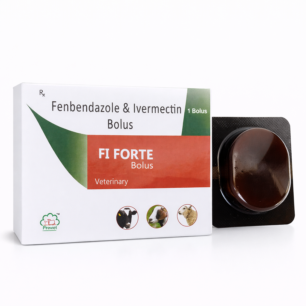 Fi Forte FI FORTE - Image 1