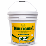 Multigain Gly
