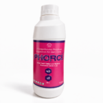 Phorce