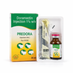 Predora
