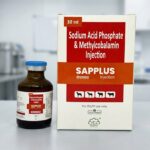 SAPPLUS - Image 2