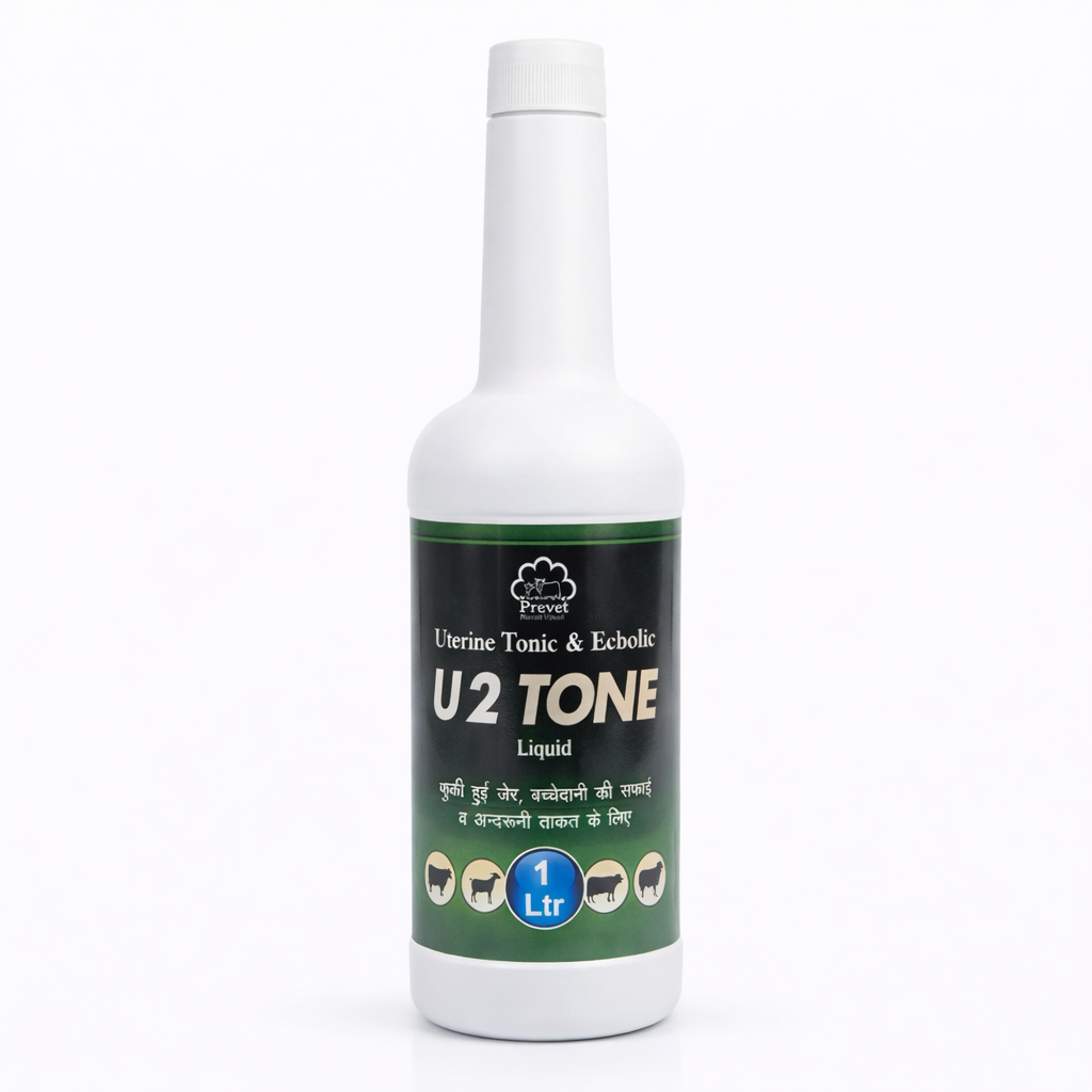 U 2 Tone 1 LTR U 2 Tone - Image 1