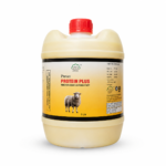 Prevet Protein Plus
